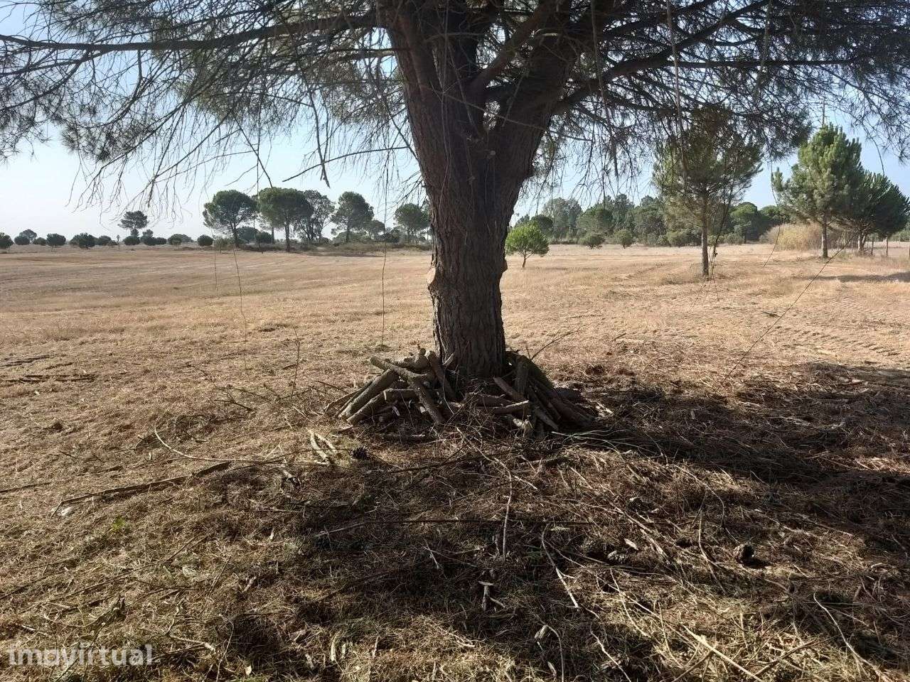 Terreno com 8800m2. Poceirão. - Grande imagem: 3/14