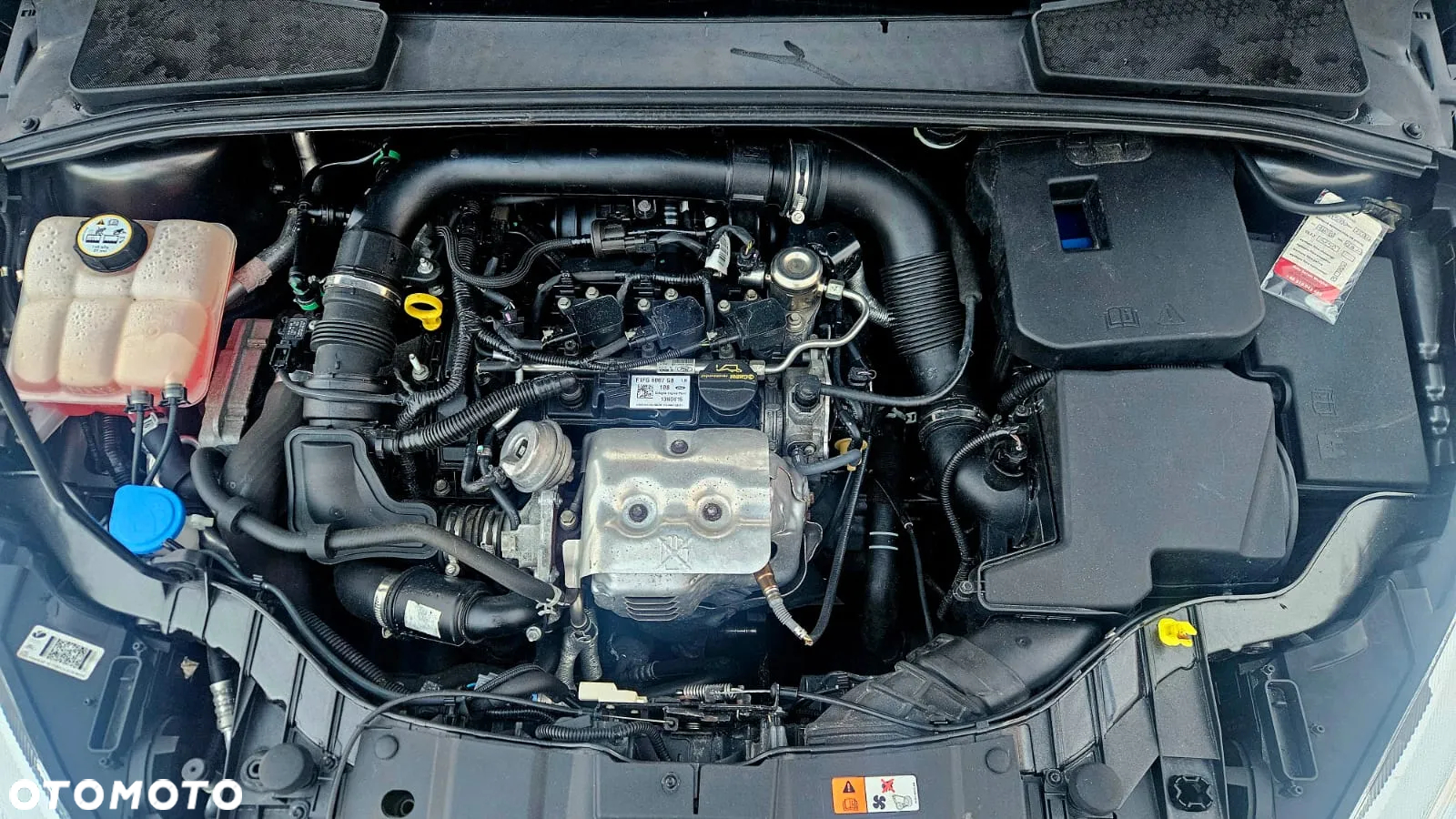 Ford Focus - 13