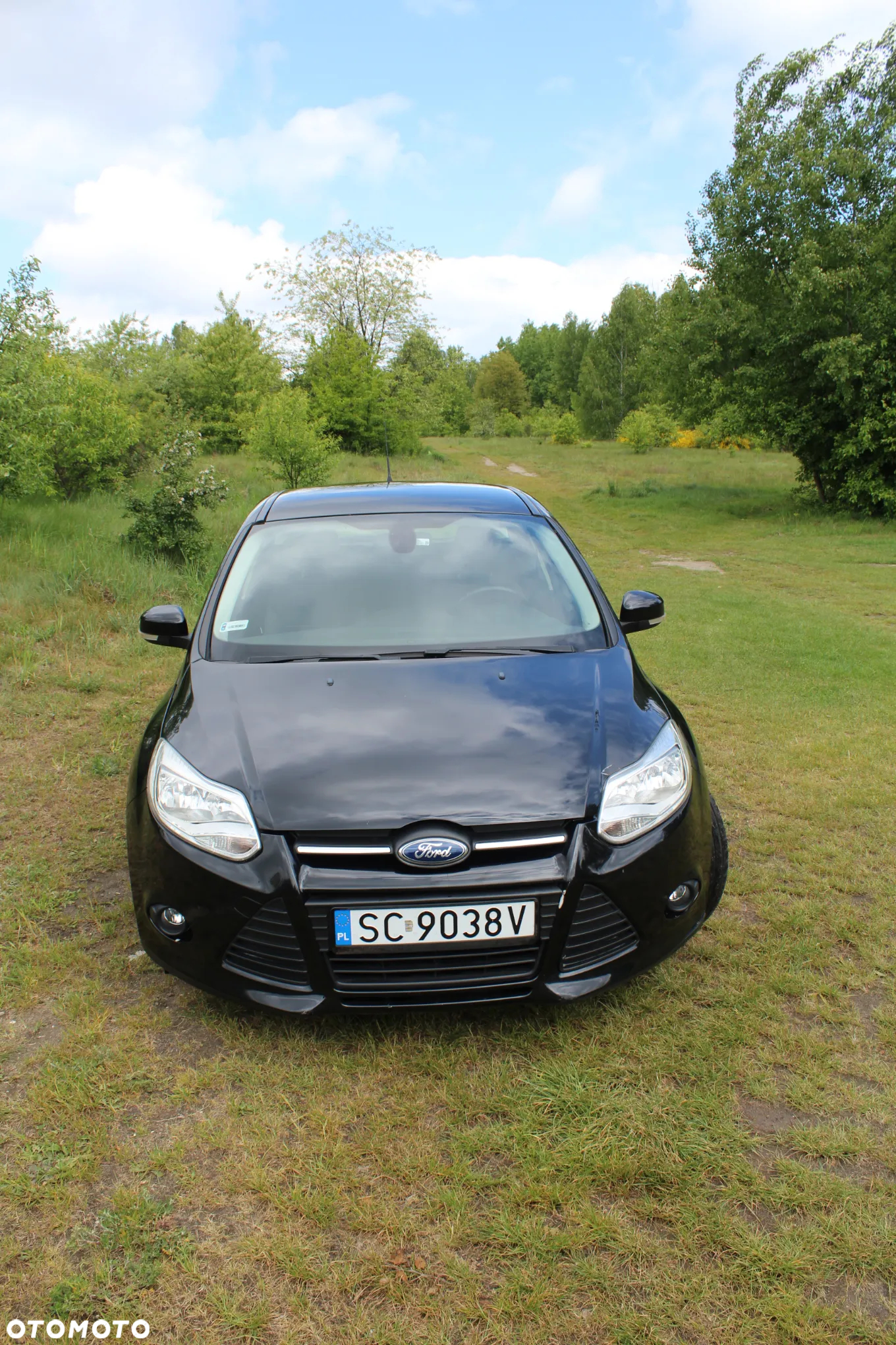 Ford Focus - 6