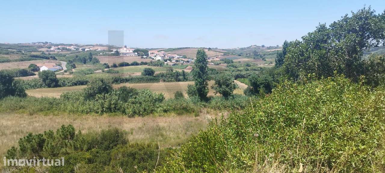 Terreno Agrícola para Venda em São Lourenço, Ribamar, 5.437m2- 22.500€ - Grande imagem: 4/18