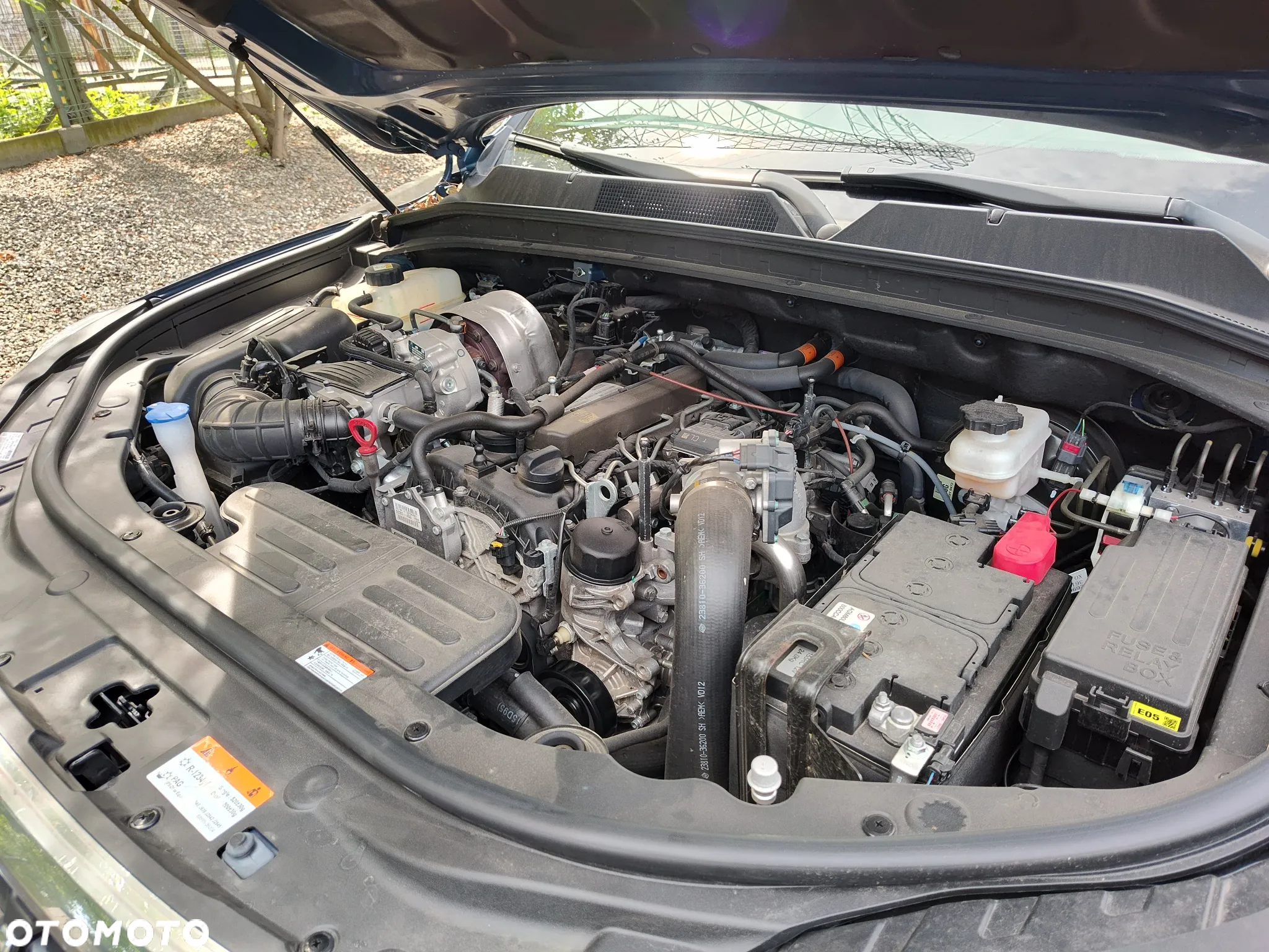 SsangYong/KGM Rexton 2.2 D Sapphire 4WD - 17