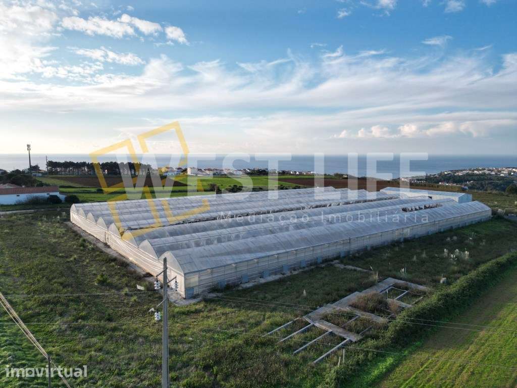 Terreno Rústico Urbanizável com 40750m2 - Oportunidade para constru... - Grande imagem: 3/11