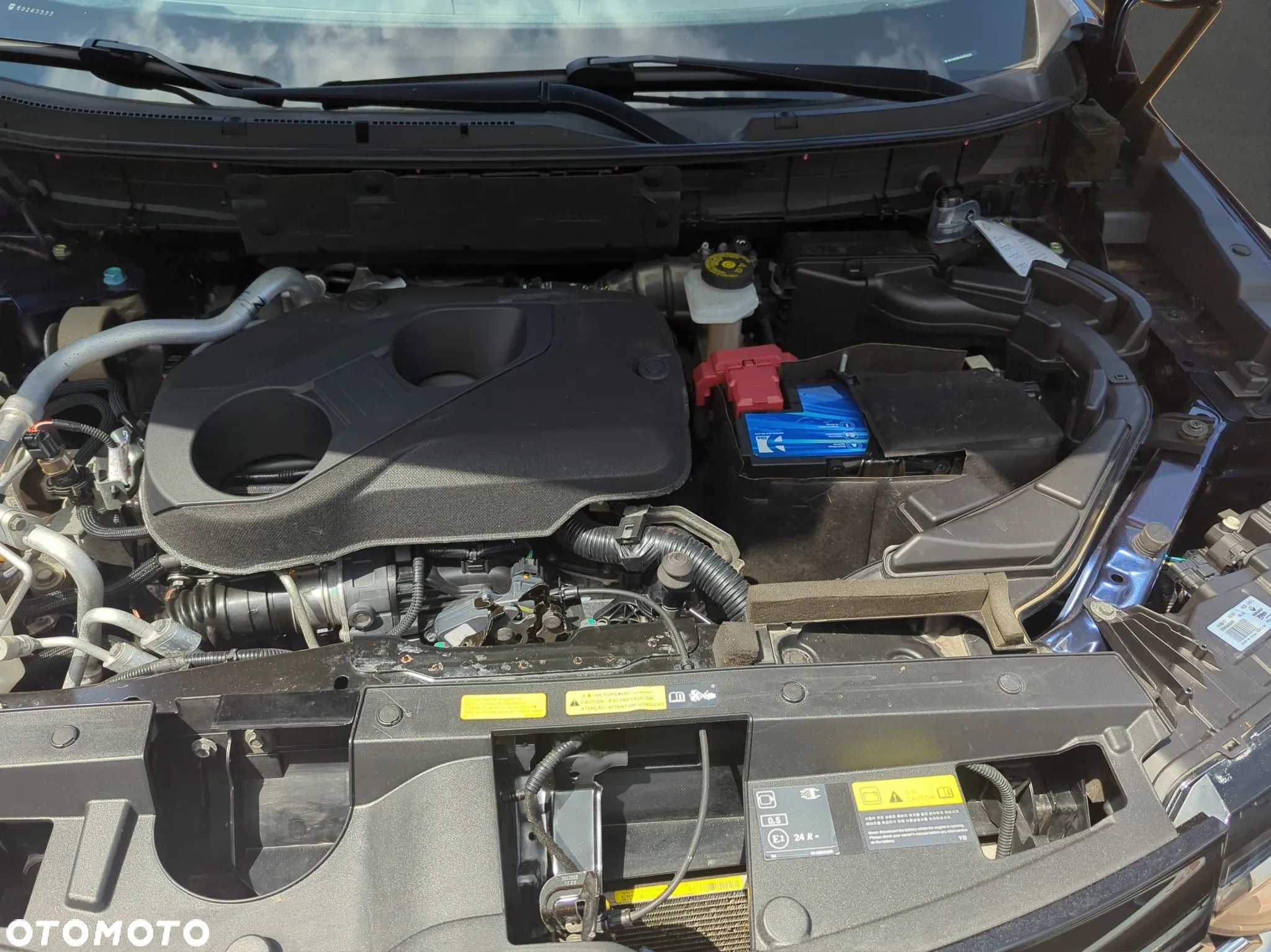Renault Koleos 1.6 dCi Intens - 20