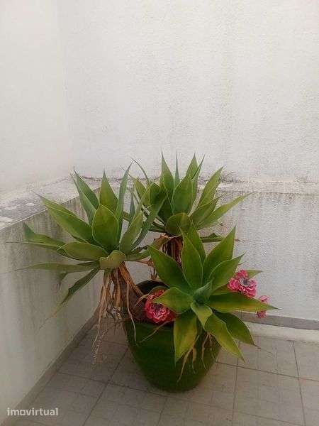 Excelente moradia 4 assoalhadas com Jardim, parquemento e espaço lazer - Grande imagem: 4/9