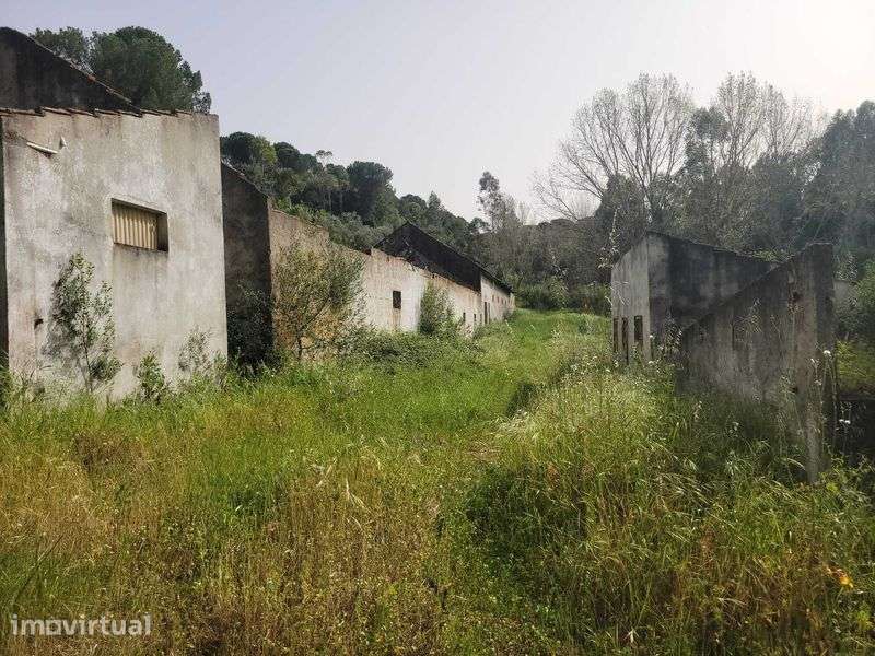 Quinta Urbano + Rústico - Vale Verde - Tremês - Santarém 19,5ha - Grande imagem: 4/10