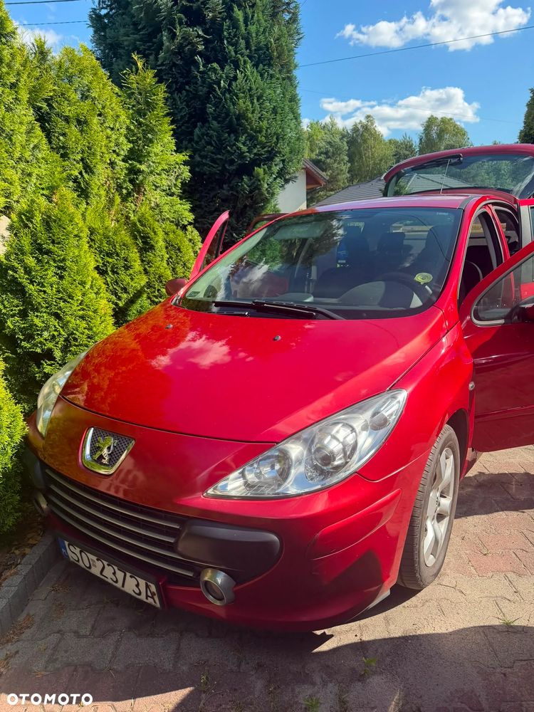 Peugeot 307 1.6 HDI Oxygo - 22
