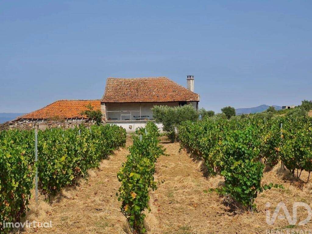 Quinta em Vila Flor e Nabo de 216 m2 - Grande imagem: 2/26