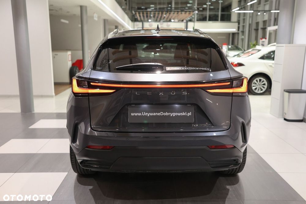 Lexus NX - 6
