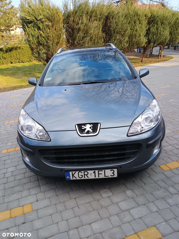Peugeot 407 - 9