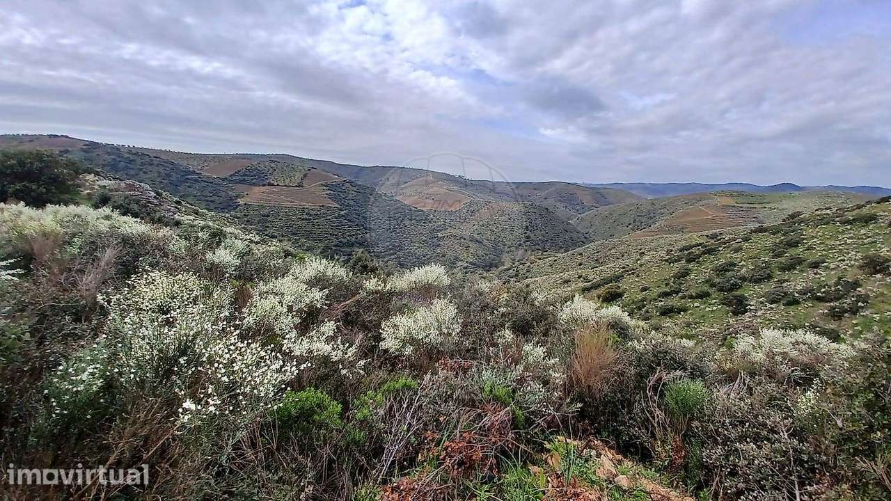 Terreno  para venda - Grande imagem: 2/4