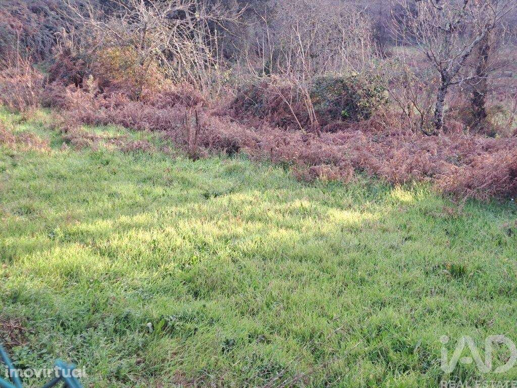 Terreno em Adaúfe - Grande imagem: 2/11