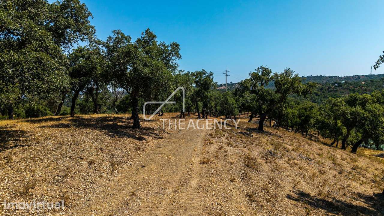 Monte alentejano perto de Melides, Comporta - ampliável até 500m² - Grande imagem: 3/19