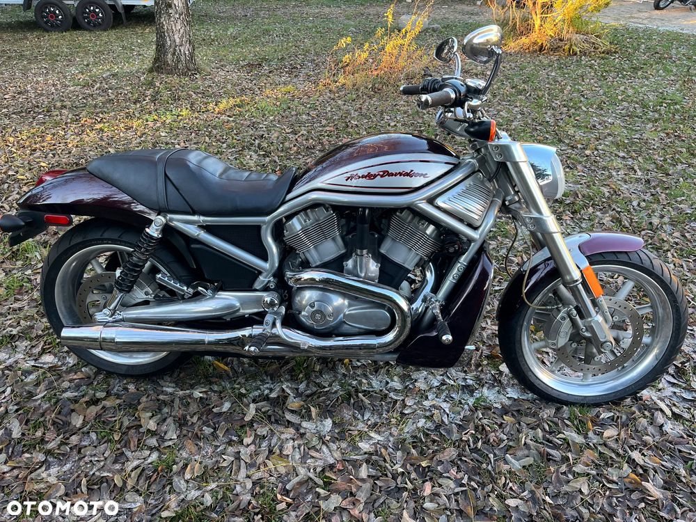 Harley-Davidson V-Rod Street Rod - 2