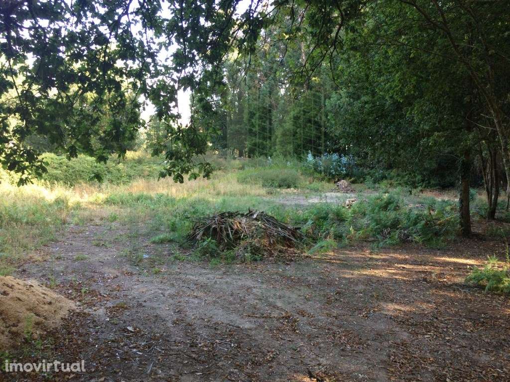 Terreno para Construção - Grande imagem: 2/5