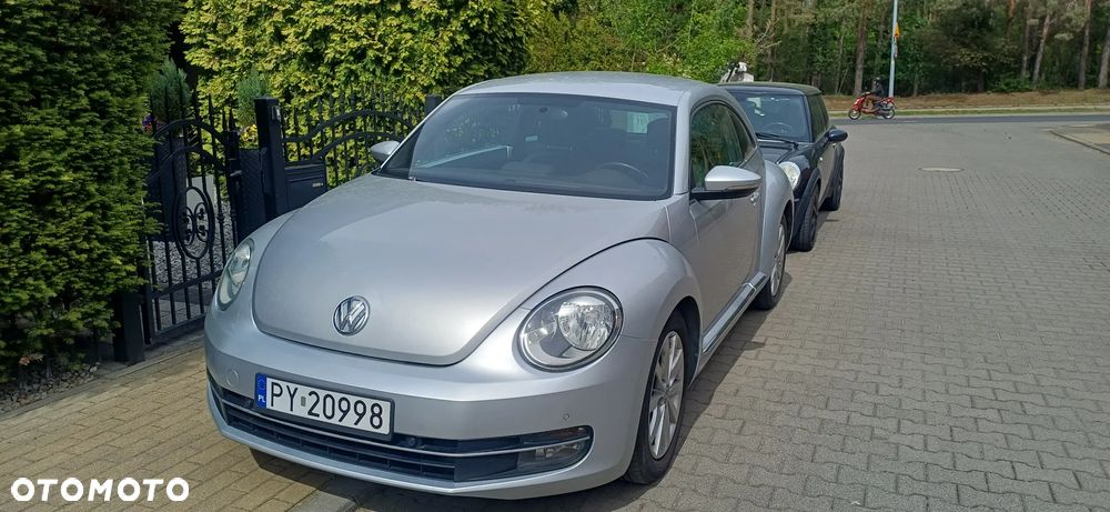 Volkswagen Beetle - 16