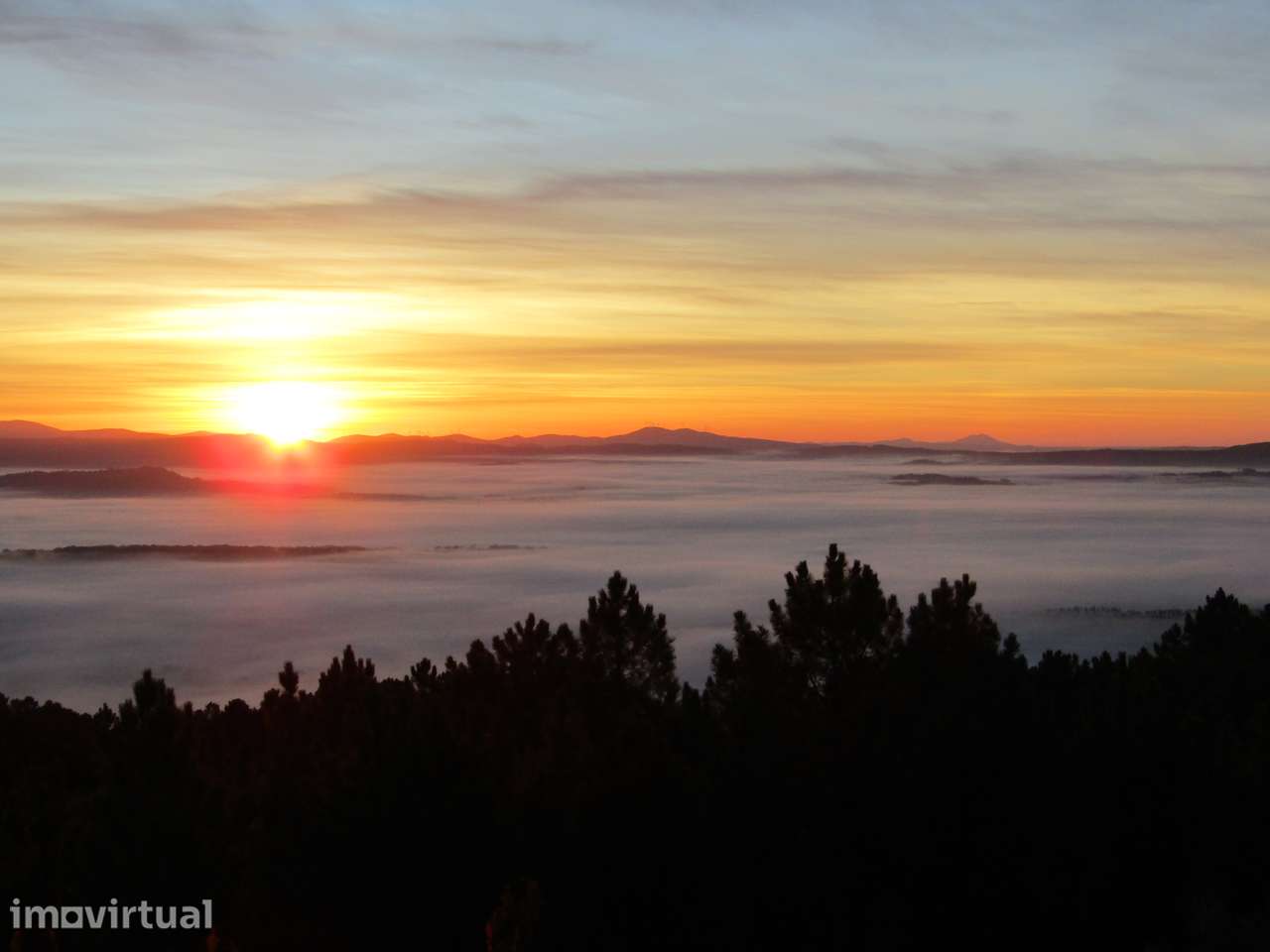 Quinta com ruína 3,8ha na encosta da Serra da Estrela - Grande imagem: 3/20