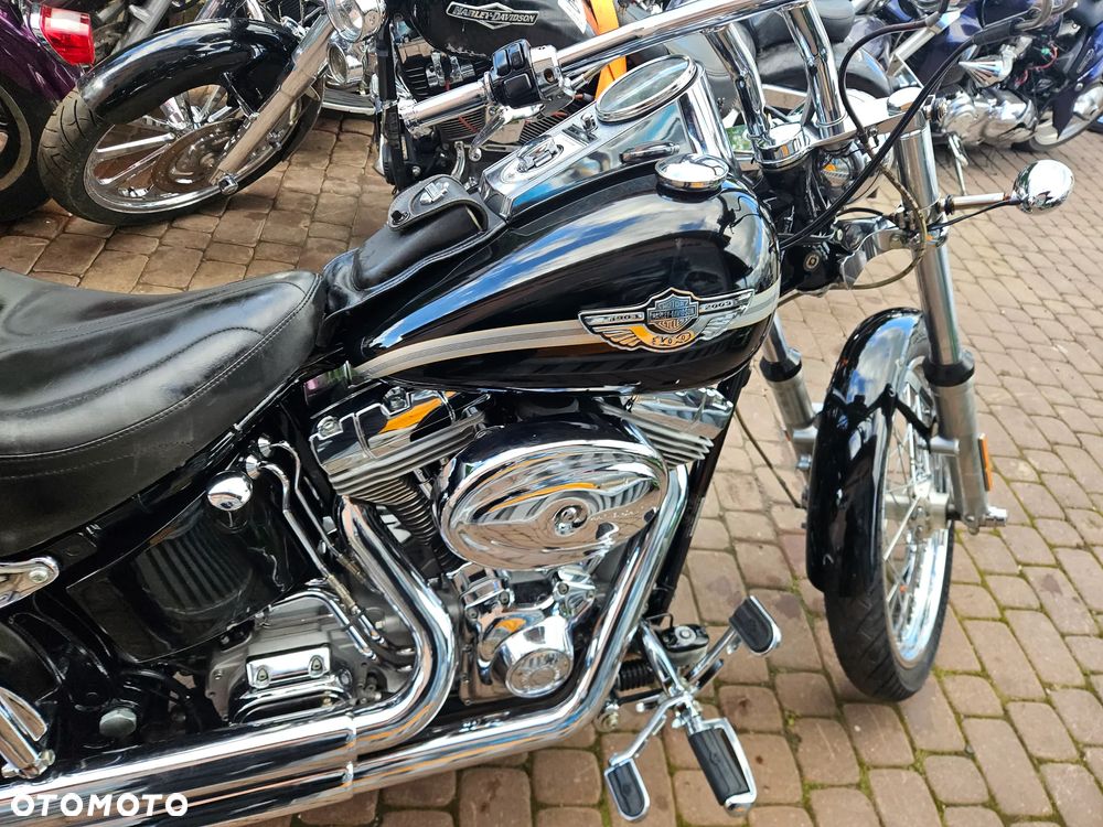 Harley-Davidson Softail - 28