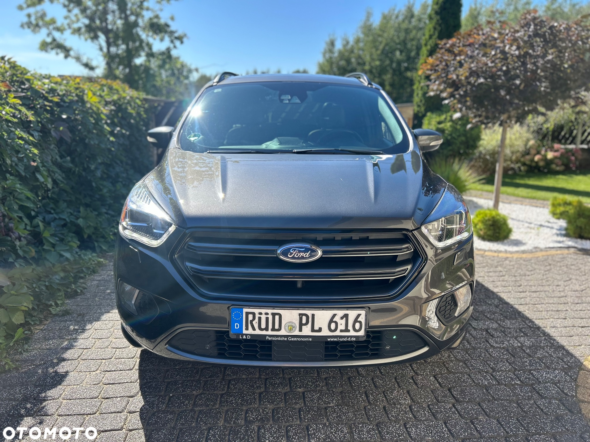 Ford Kuga 2.0 TDCi 4x4 ST-Line - 5