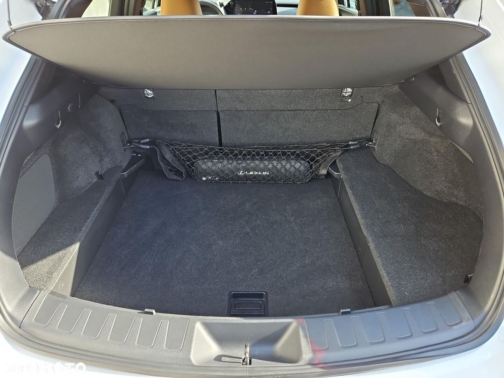 Lexus UX 250h GPF F Sport Design 2WD - 25