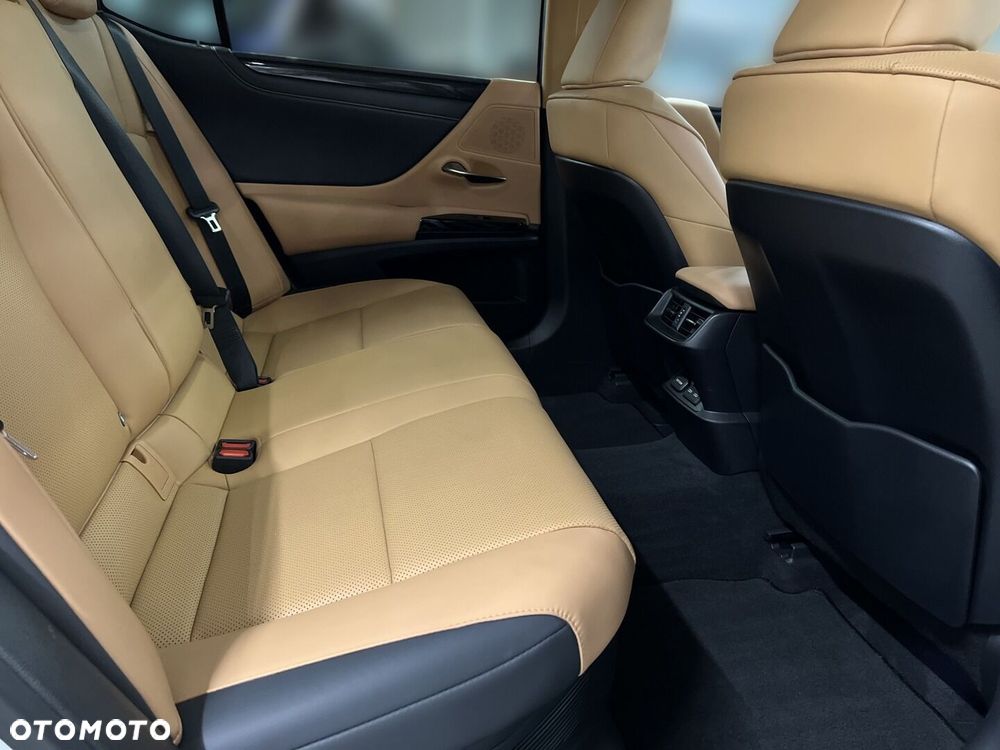 Lexus ES 300h Business Edition - 14