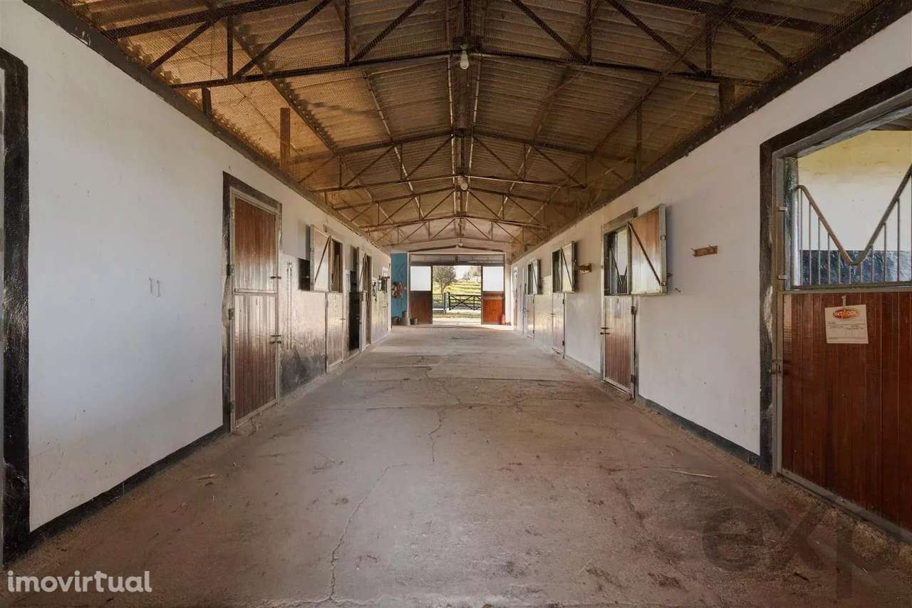 Propriedade privada - Centro Equestre - Grande imagem: 2/22