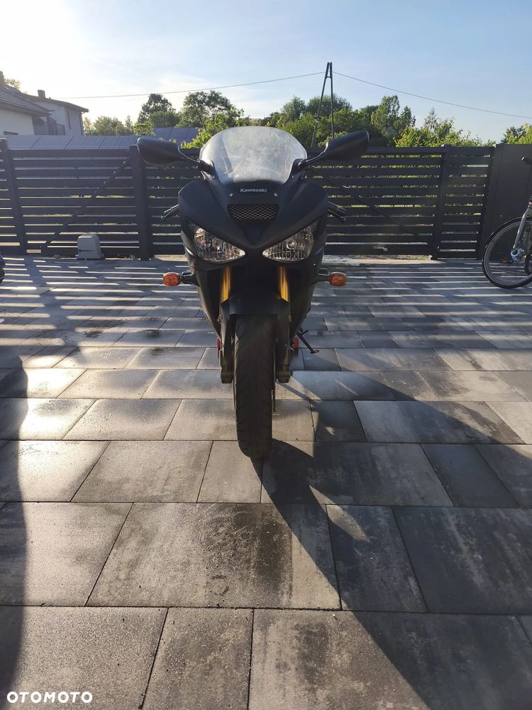 Kawasaki Ninja - 3