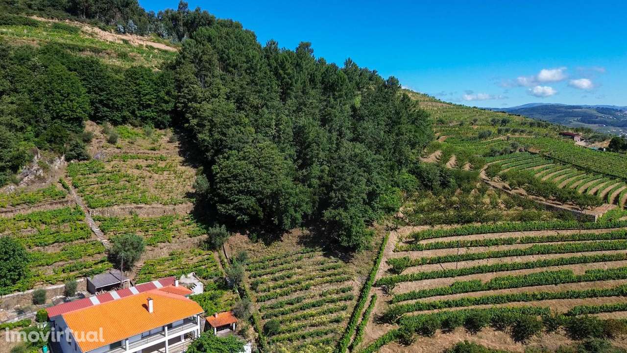 Quinta  para venda - Grande imagem: 3/18