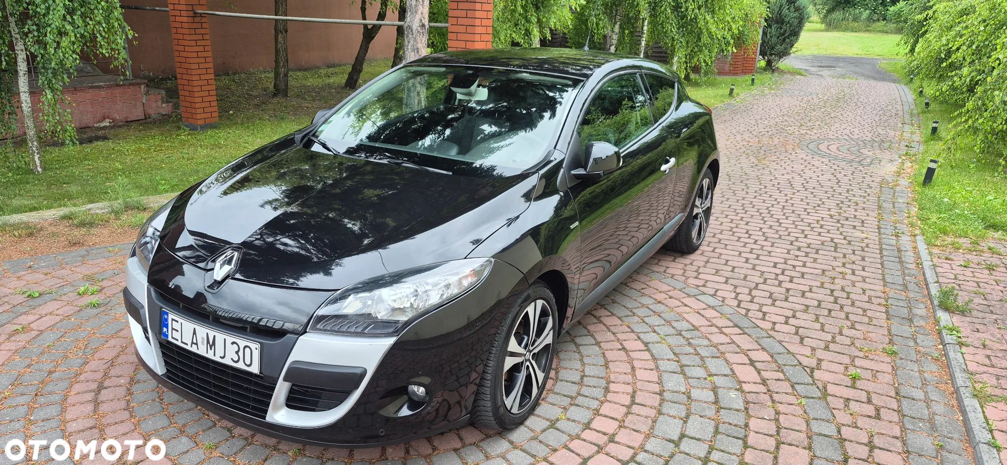 Renault Megane - 1