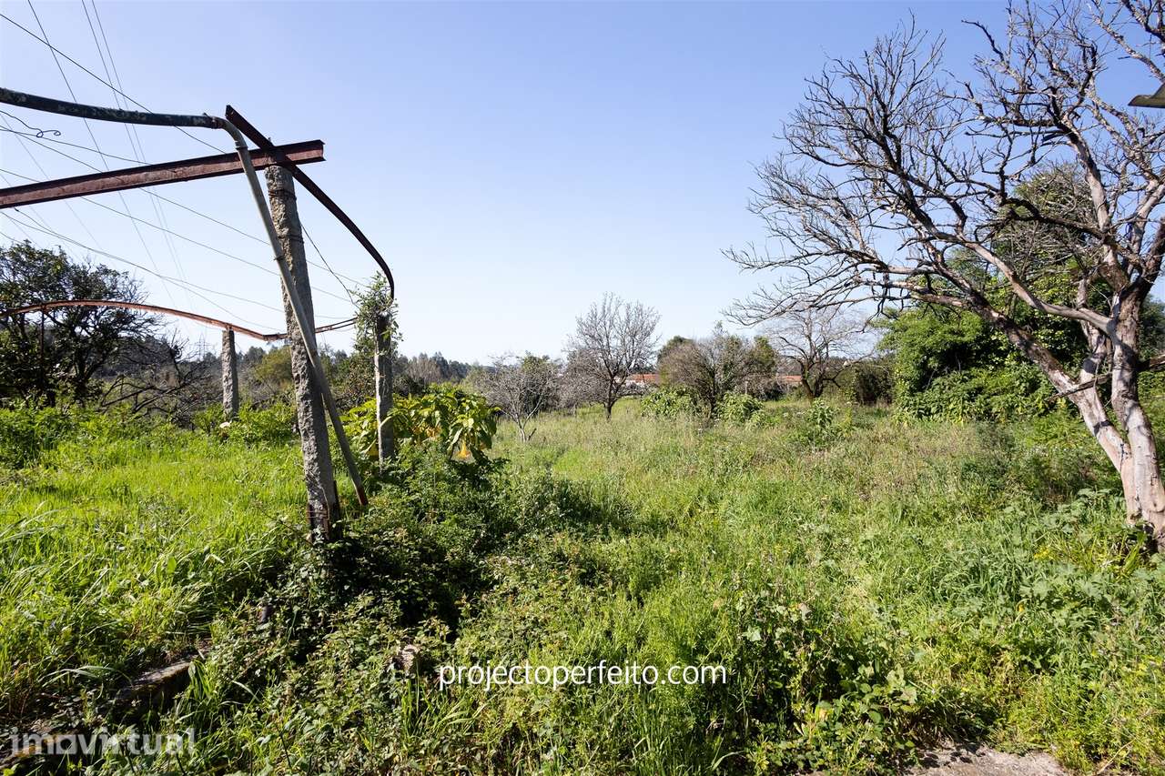 Terreno  Venda em Grijó e Sermonde,Vila Nova de Gaia - Grande imagem: 2/2