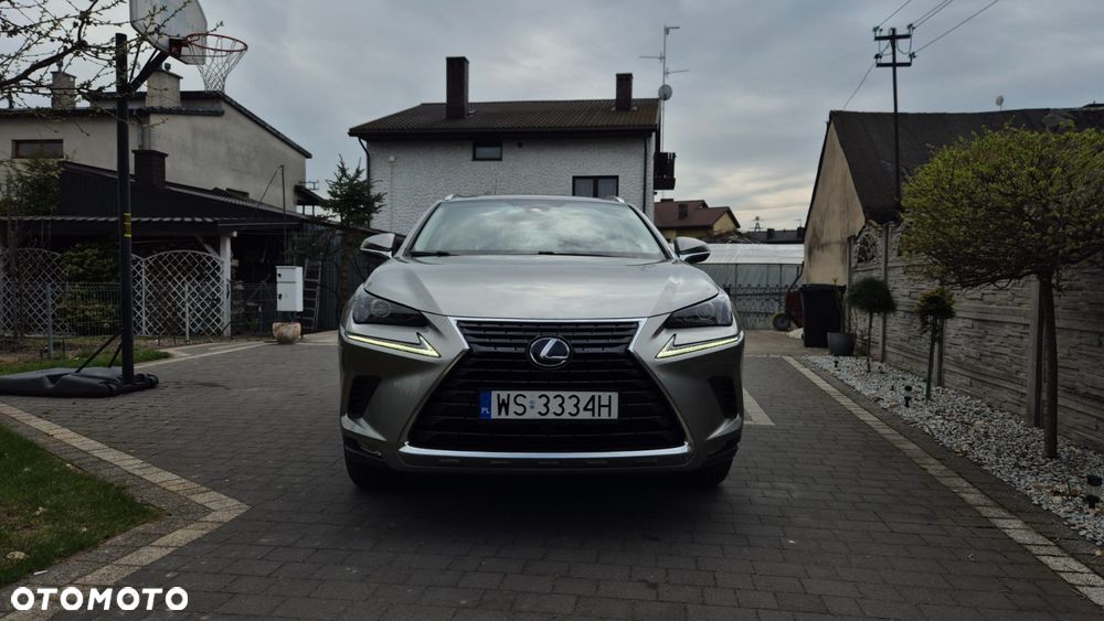 Lexus NX 300 Business Edition AWD - 5