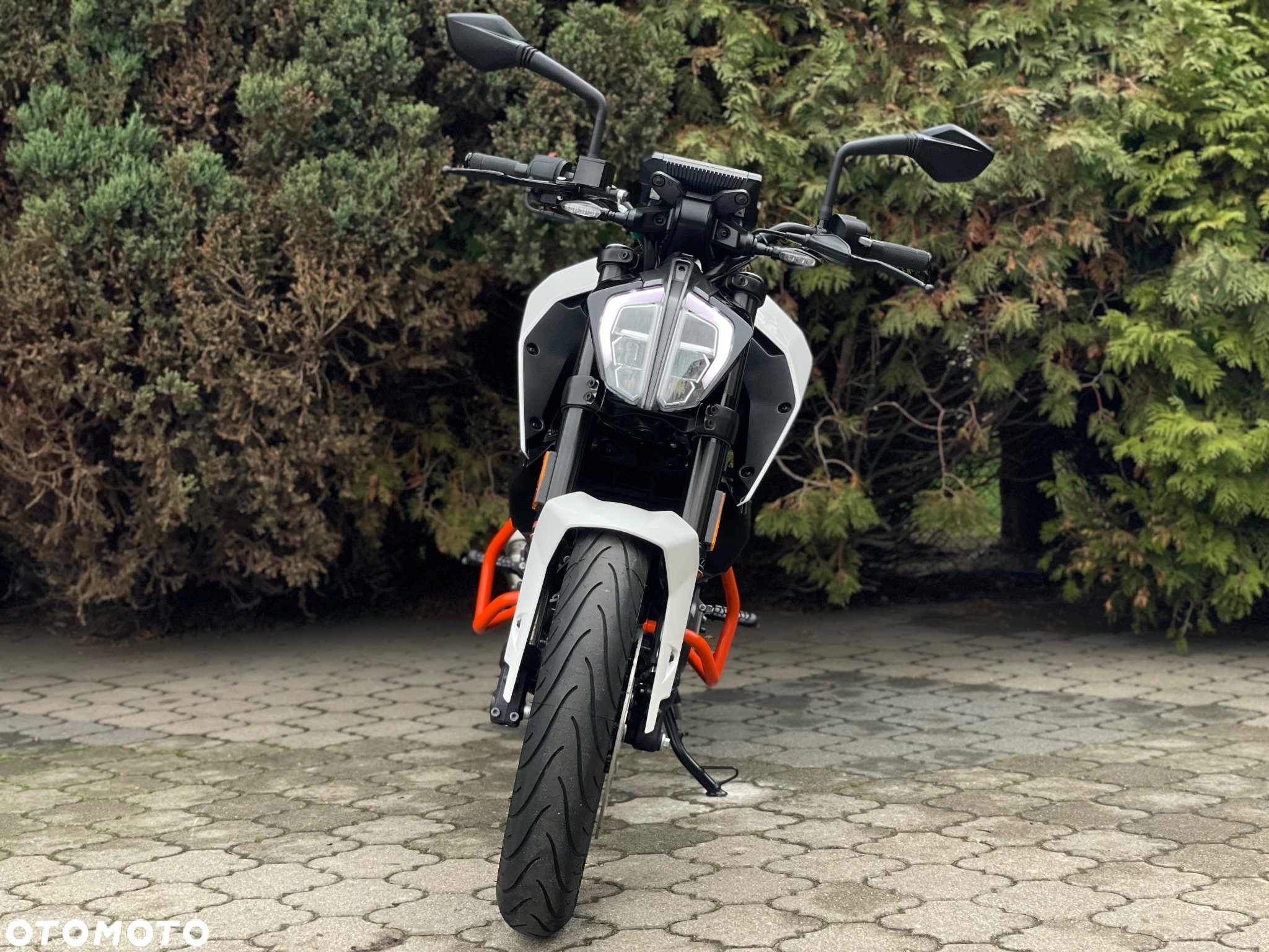 KTM Duke - 8
