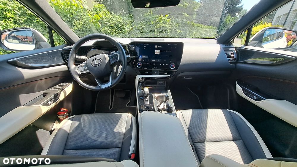 Lexus NX - 6