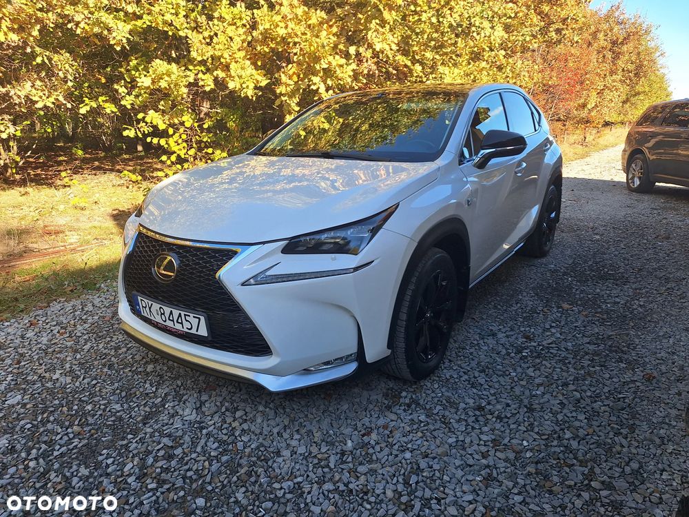 Lexus NX - 1