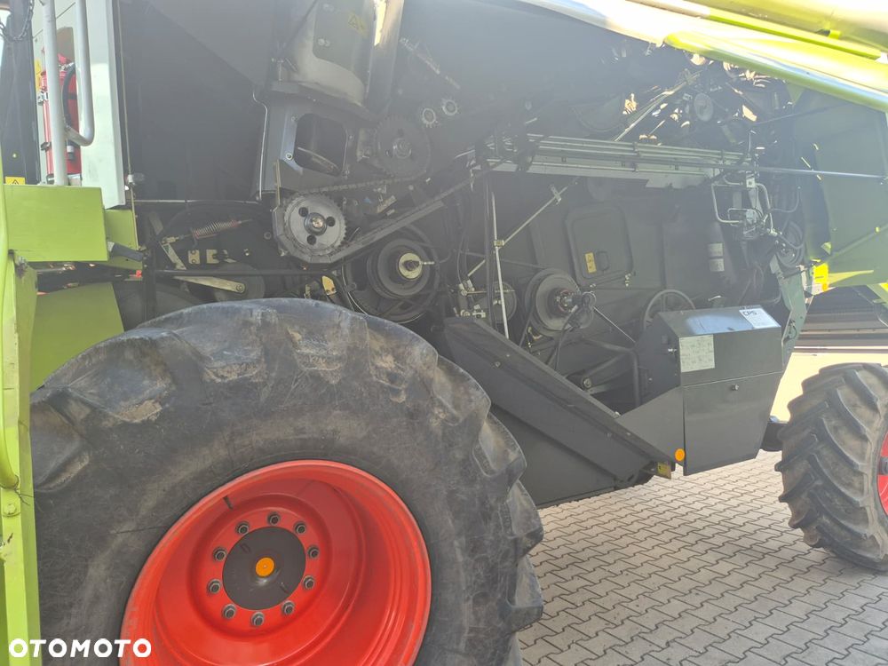 Claas Tucano 440 z hederem Vario 620 i przystawką do kukurydzy Olimac - 14