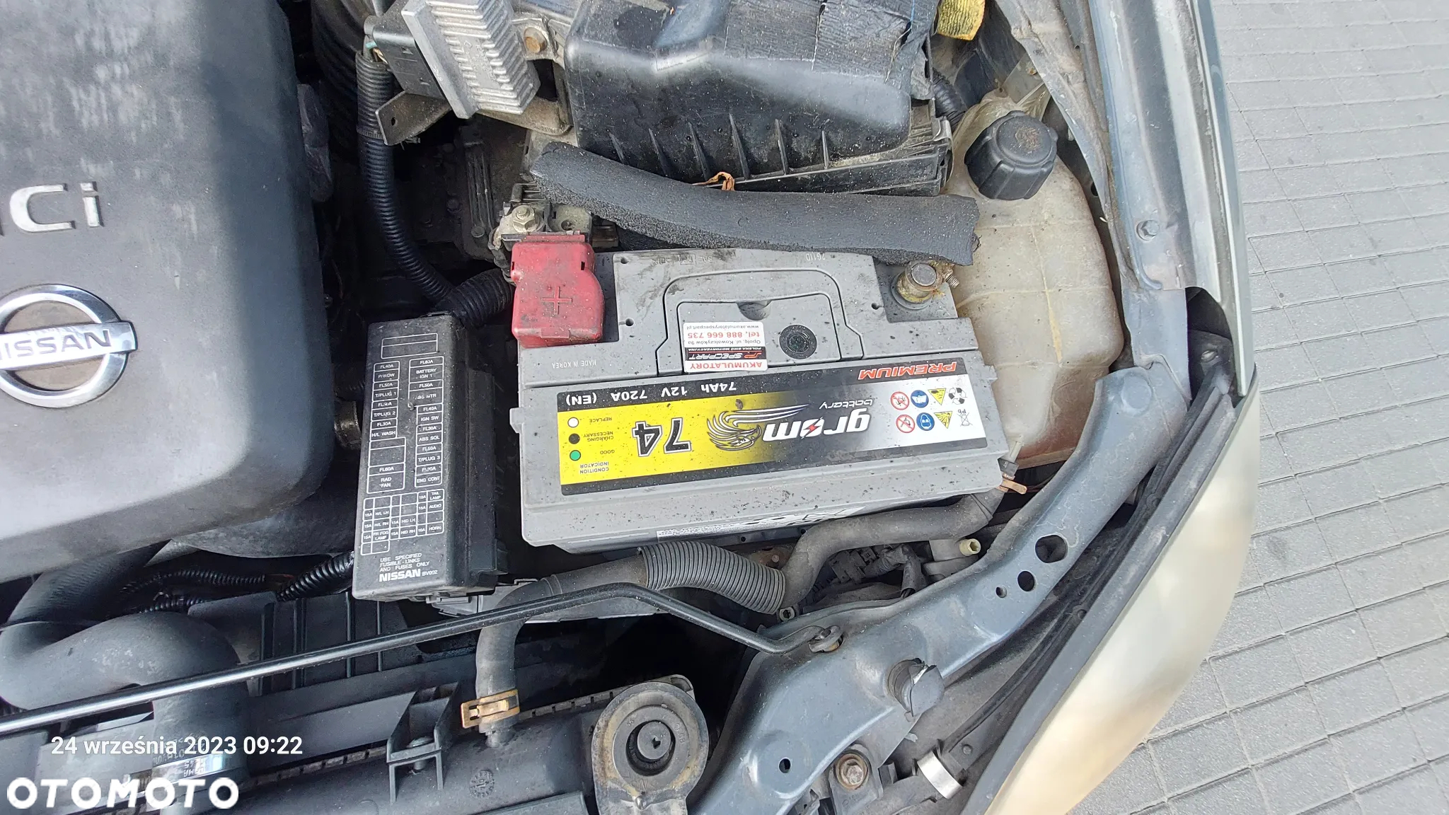 Nissan Primera - 13