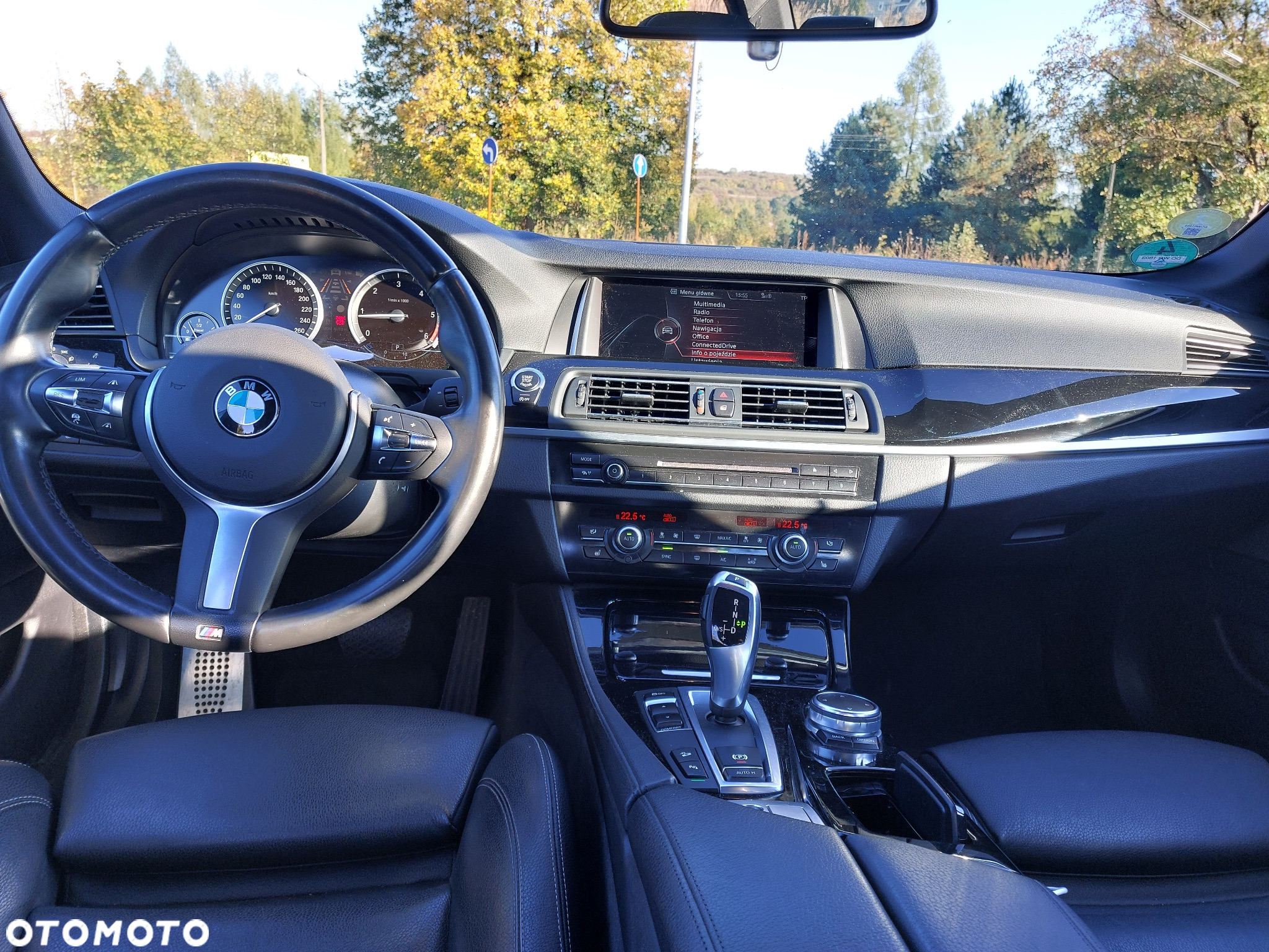 BMW Seria 5 520d M Sport - 19