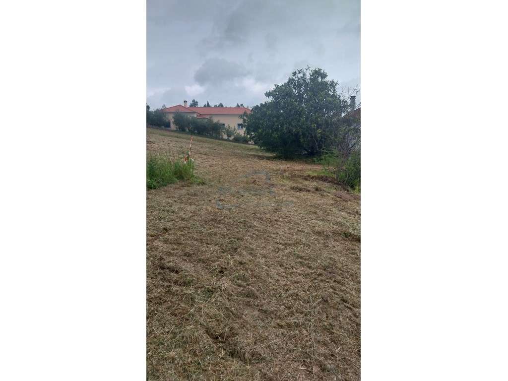 Conjunto de duas moradias numa - Grande imagem: 5/24