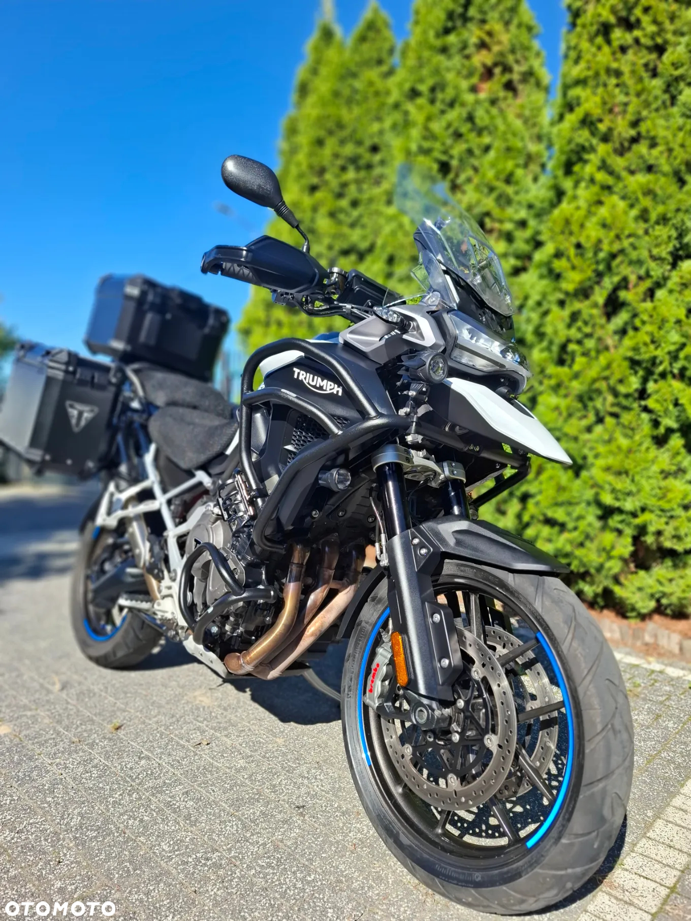 Triumph Tiger - 3