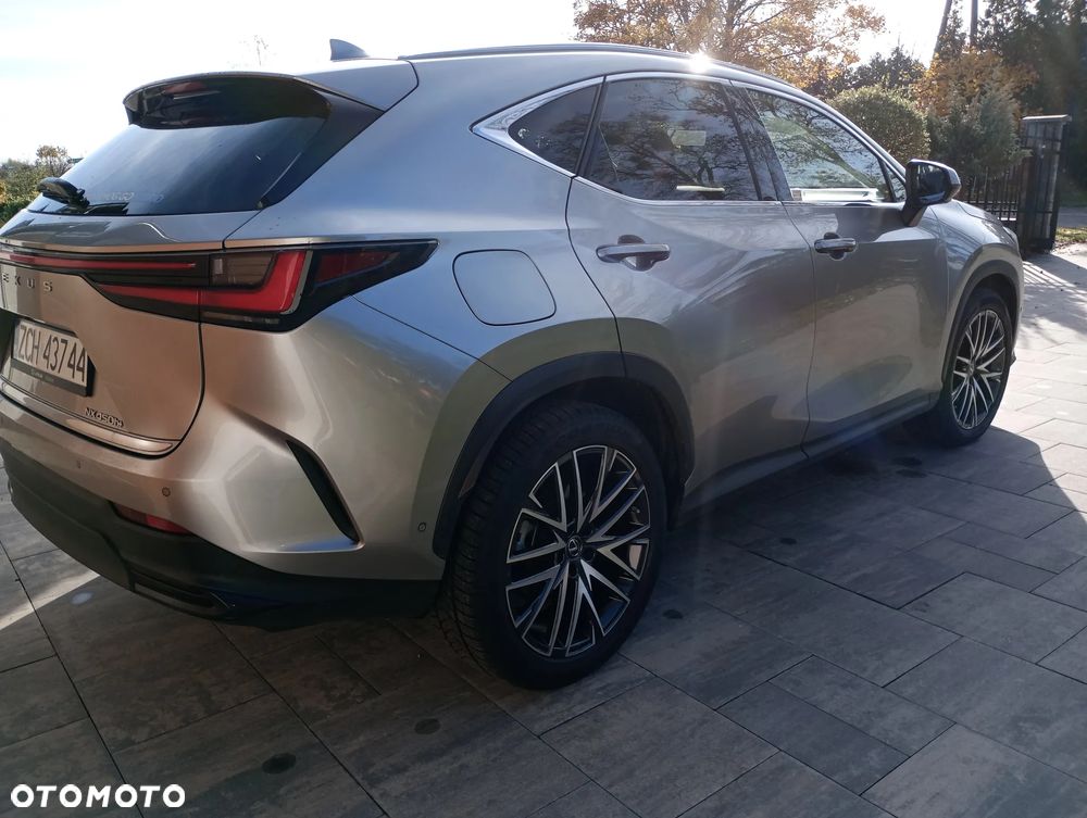 Lexus NX - 8
