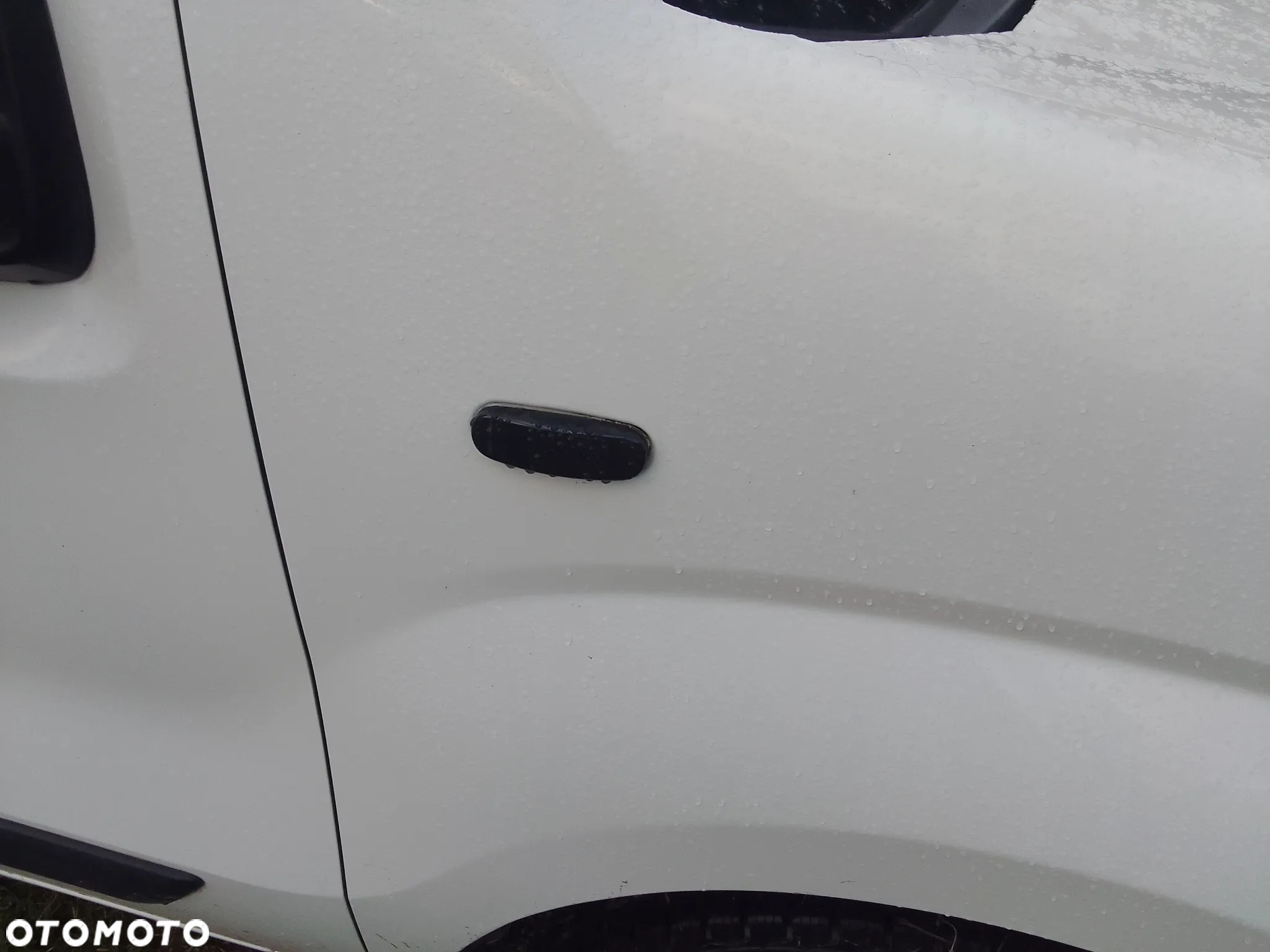 Fiat Fiorino - 18