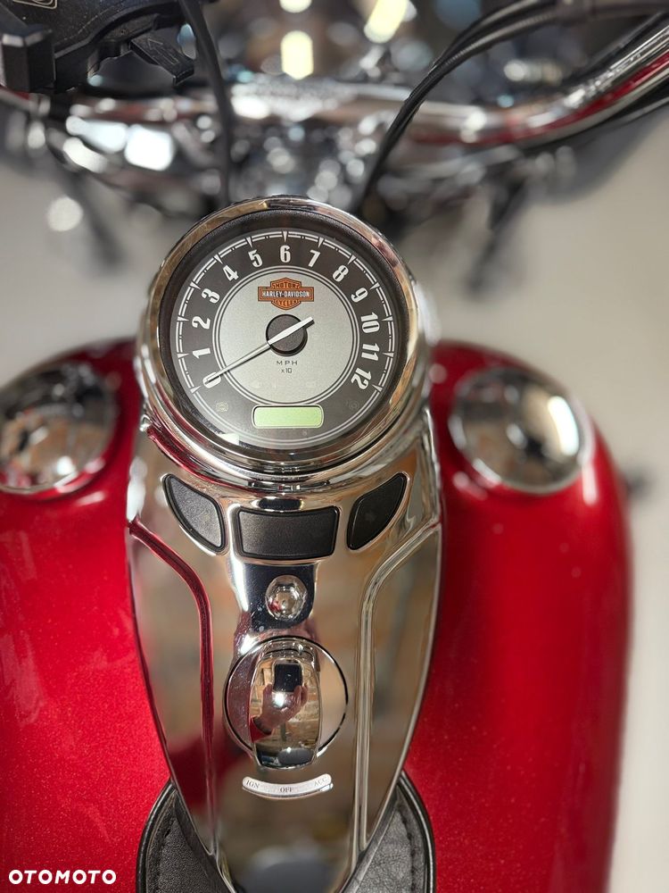 Harley-Davidson Softail - 19