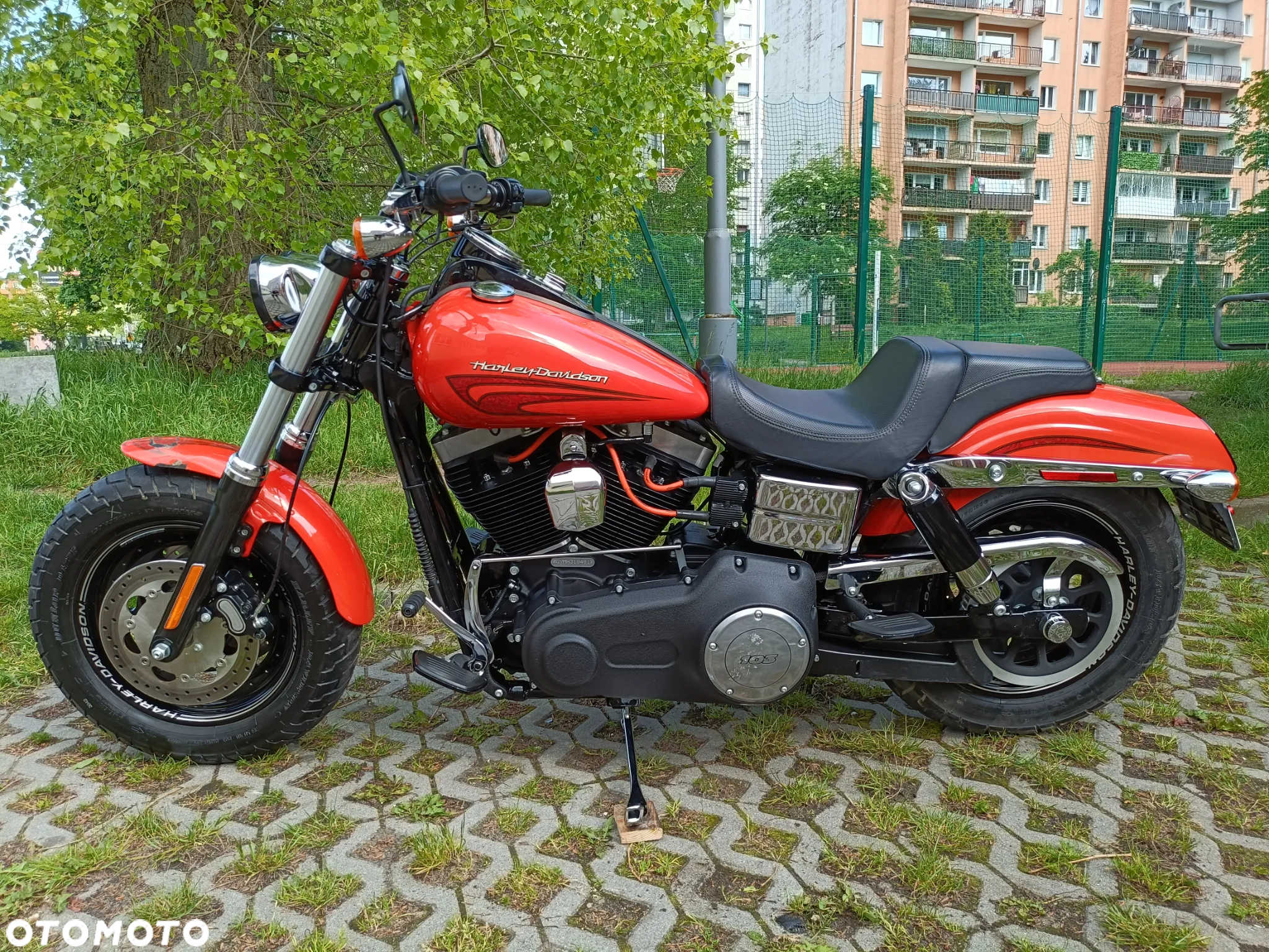 Harley-Davidson Dyna Fat Bob - 2