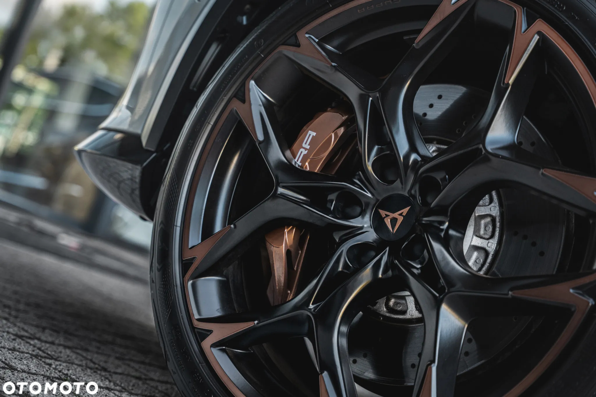Cupra Formentor 2.5 TSI 4Drive VZ5 Taiga Grey DSG - 13