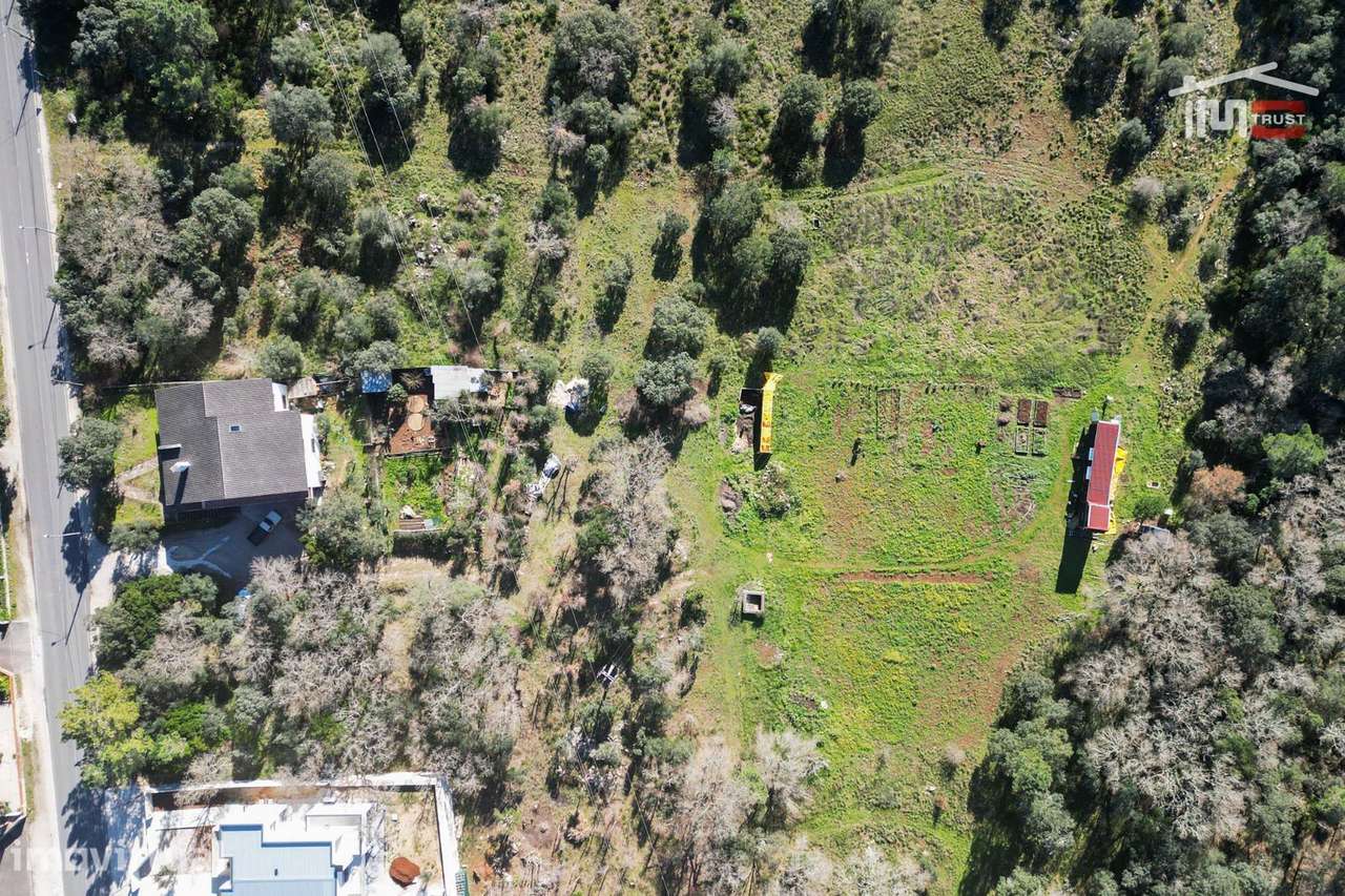 TERRENO COM 6822 m² NA AMOREIRA (5 m FÁTIMA) - Grande imagem: 5/22