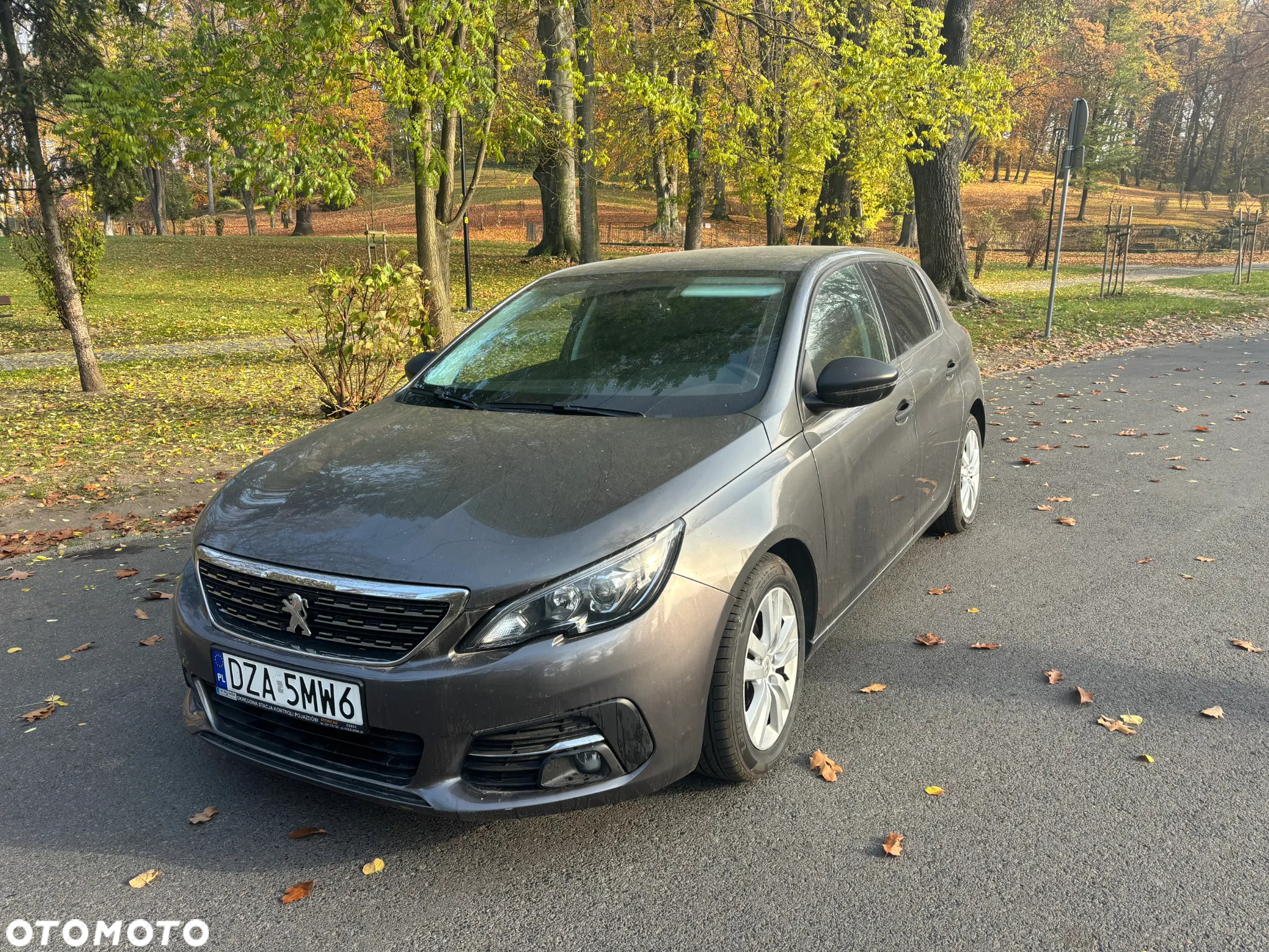 Peugeot 308 1.6 BlueHDi Access S&S - 6
