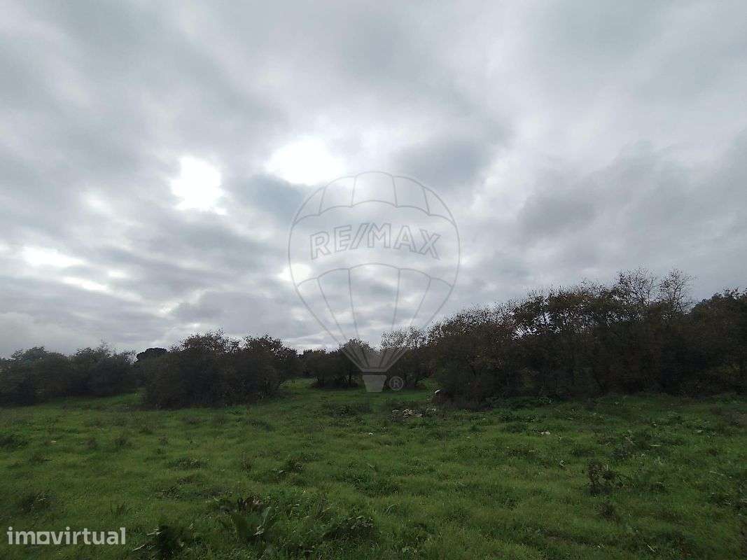 Terreno  para venda - Grande imagem: 5/12