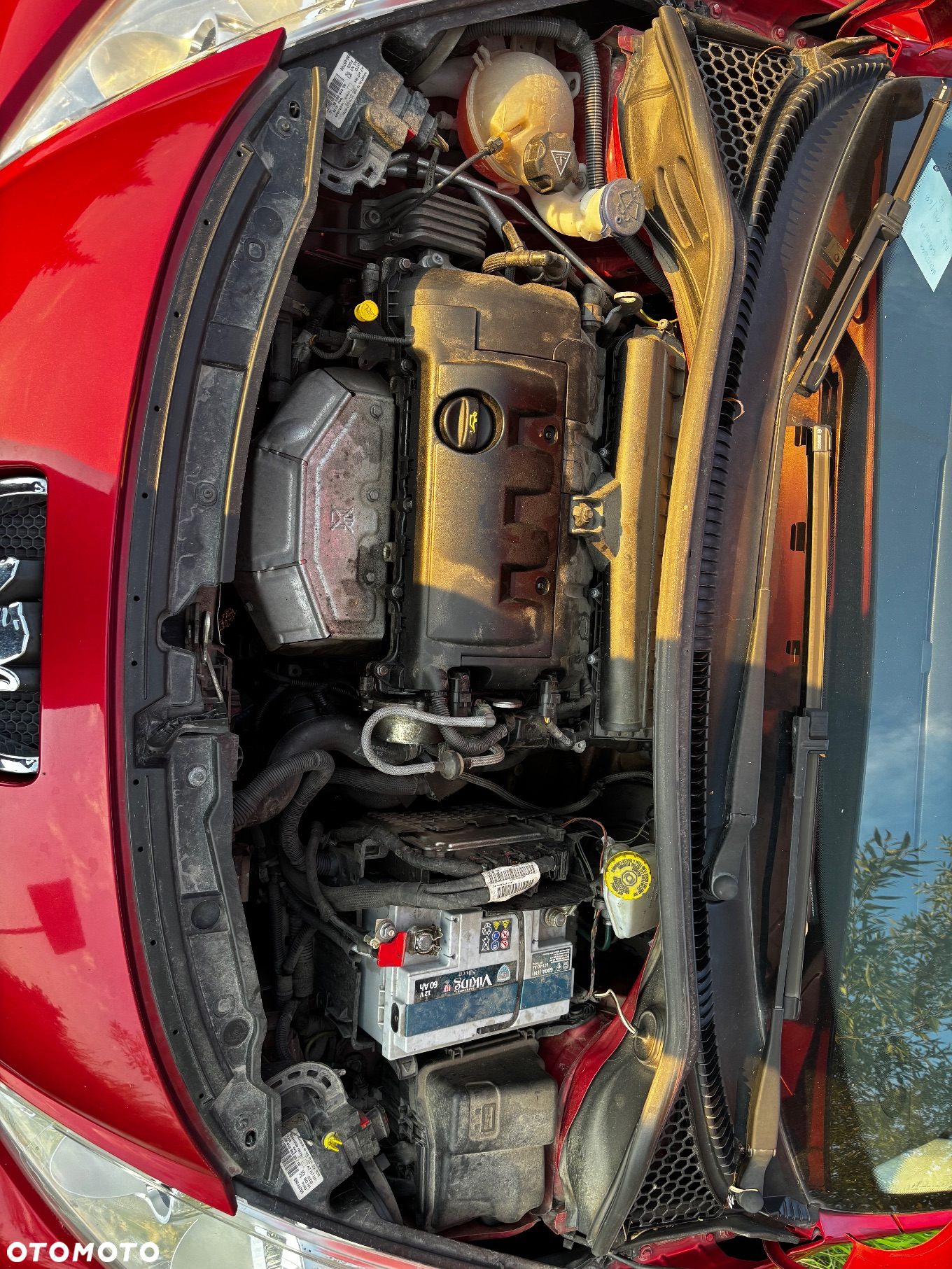 Peugeot 207 - 8