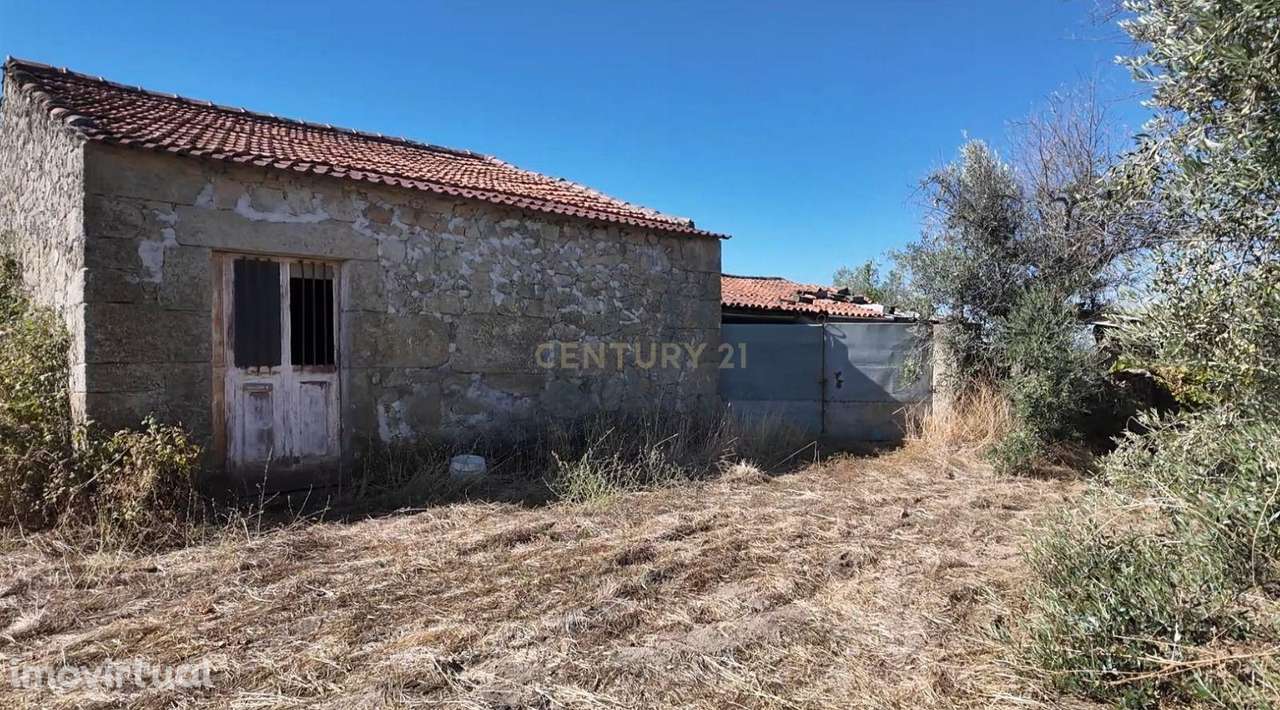 Oportunidade de negócio! Terreno rústico 2,7ha Alcains, Castelo Branco - Grande imagem: 4/8