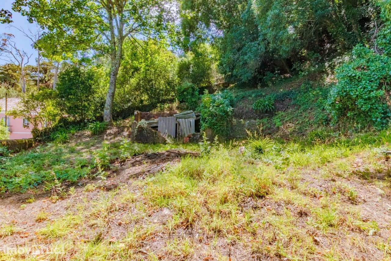 Sintra Terreno com vista desafogada e possibilidade de construção de u - Grande imagem: 3/35