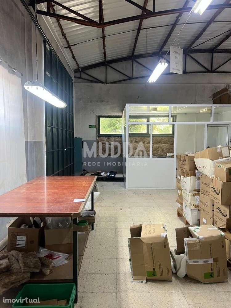 Excelente armazém para venda em Cesar - Grande imagem: 4/18